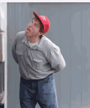IMG_20250520_101731.gif