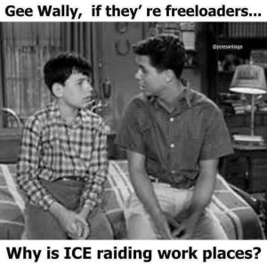 IMG_4974.jpeg