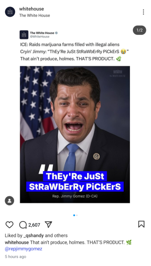 1000005256.png