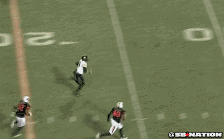 baylorfalldown_medium.gif