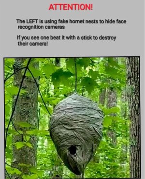 FB_IMG_1753473110139.jpg