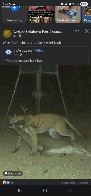 1756002126194.jpeg