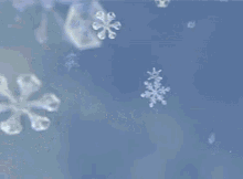 IMG_5712.gif
