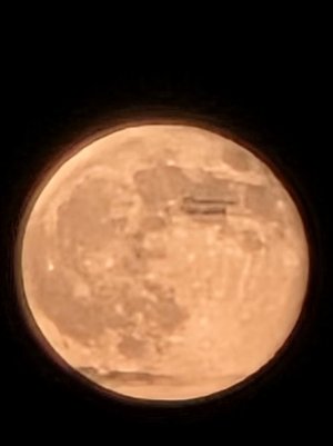 20251007_194112.jpg
