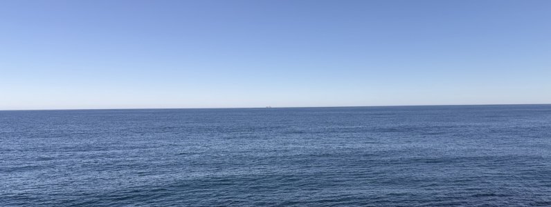 IMG_2944.jpeg