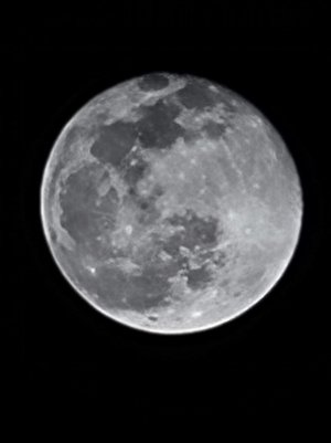 20220118_204217.jpg