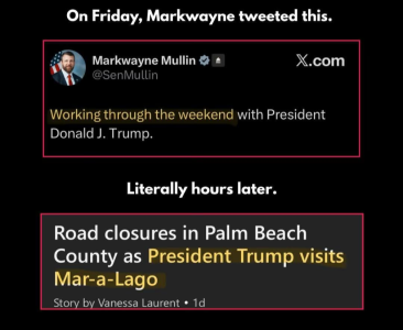 1000008810.png 1000008810.png