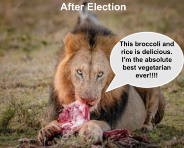 Screenshot 2025-11-12 at 9.43.42 AM.png