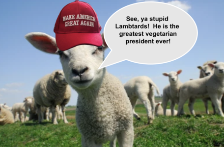 Screenshot 2025-11-12 at 9.51.14 AM.png