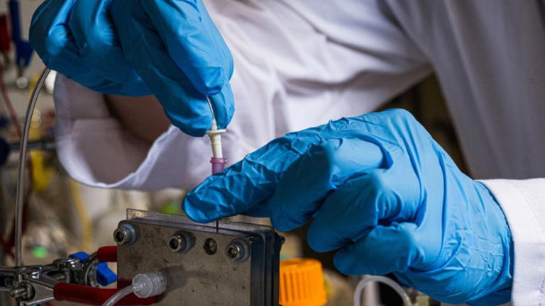 The new reactor produces ammonia gas from water contaminated with nitrate ions. Here, a scientist tweaks the reactor prototype. (Image credit: Jeff Fitlow/Rice University)